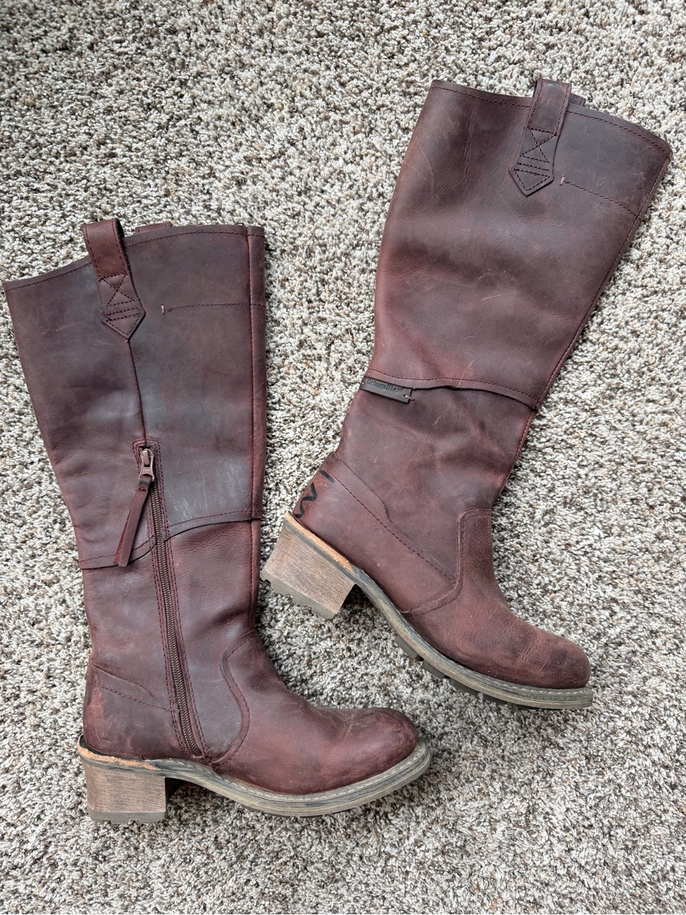 CAT Women's Tall Leather Riding Boots - Brown - Alexandria